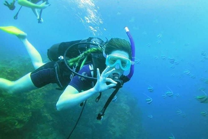 PADI Open Water Diver Course - What you may see beneath Isla Mujeres
