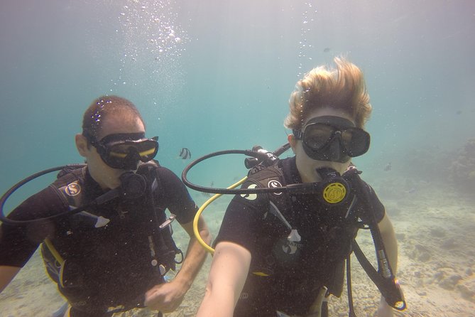 PADI Open Water Diver Course - Who should book this course