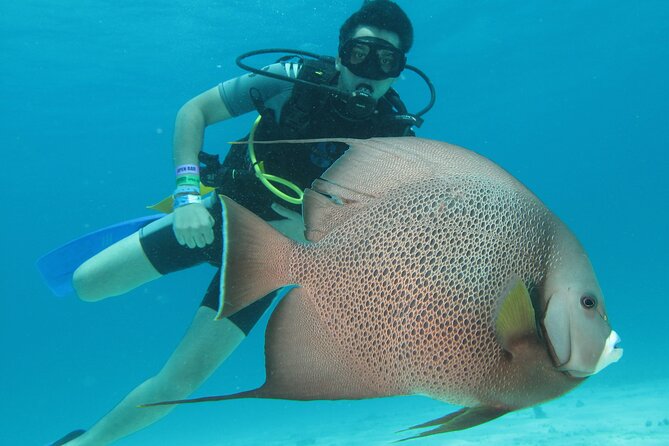 PADI Open Water Diving Certification Course Activity - Key points to know before booking