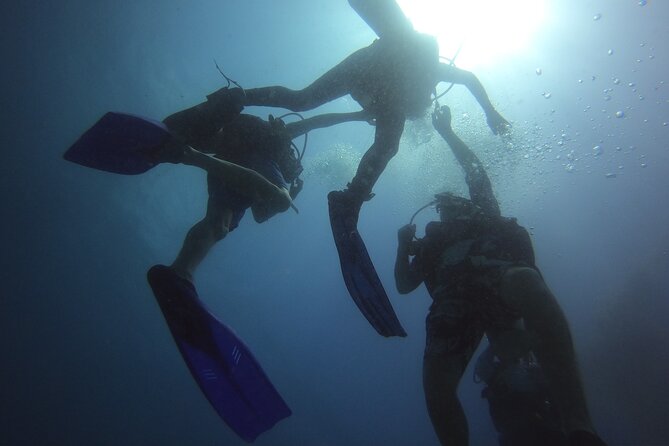 PADI Open Water Diving Certification Course Activity - What you are really buying for $559