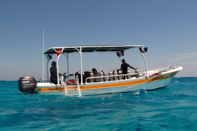 PADI Open Water Diving Certification Course Activity - Who should choose this Cancun course