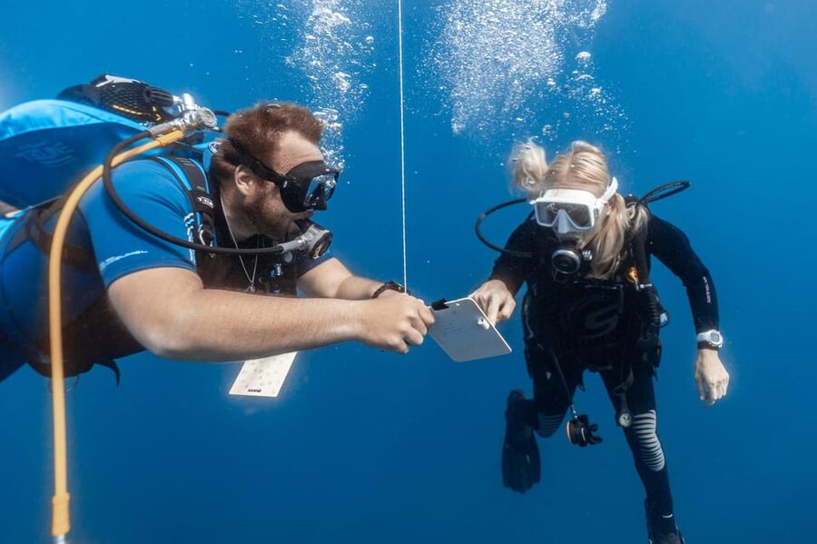 PADI Open Water Diving Course Tenerife - Key points to know before booking
