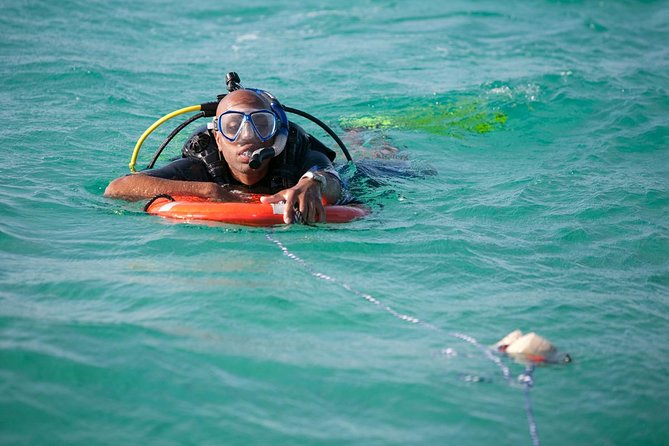 PADI Rescue Diver Course in Gran Canaria - Who should book this Gran Canaria course
