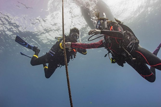 PADI Scuba Diver Course - The underwater setting adds real value