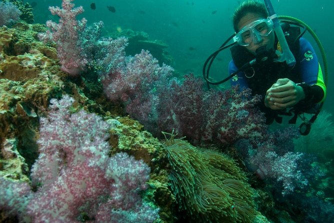 PADI Scuba Diver Course - What the $232.57 price includes