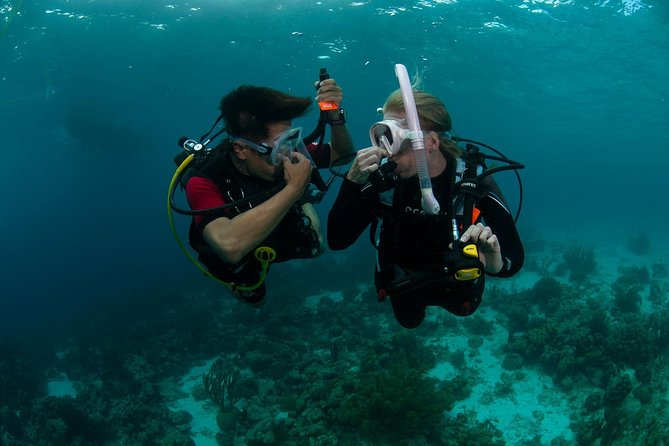 PADI Scuba Diver Course - Confined-water practice before the sea