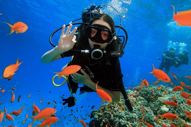 PADI Scuba Diver (PSD) - What the PADI Scuba Diver course actually gives you