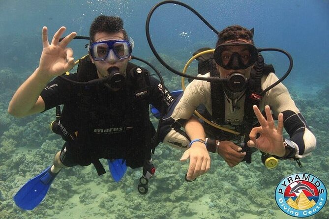 PADI Scuba Diver (PSD) - Two open-water sessions in the Egyptian Red Sea
