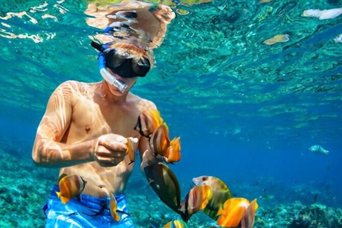 PADI Scuba Diver (PSD) - Three knowledge sessions without the classroom drag