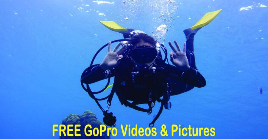 Panama City Beach: Beginners Scuba Diving Tour - Key details before you book