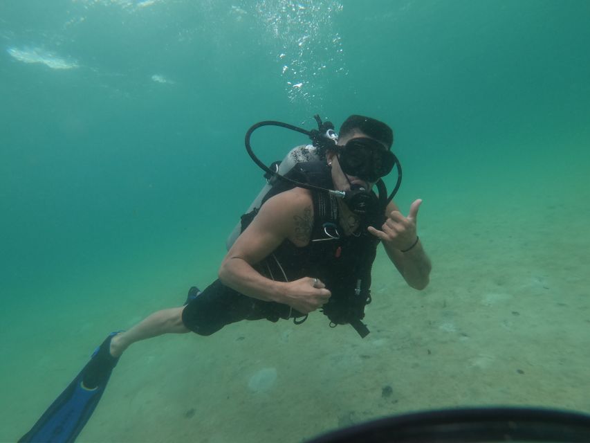 Panama City Beach: Beginners Scuba Diving Tour - Who will enjoy this most