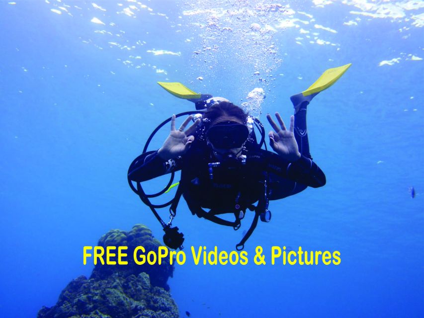 Panama City Beach: Beginners Scuba Diving Tour - The first 10 to 15 minutes: safety before scuba