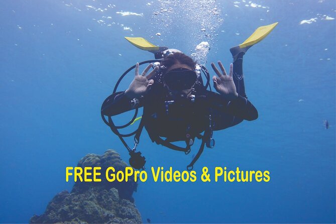 Panama City Scuba Diving Activity for Beginners - A gentle introduction at St. Andrews State Park