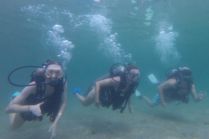 Panama City Scuba Diving Activity for Beginners - The safety talk sets the tone
