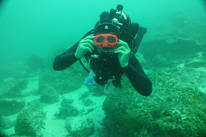 Panama City Scuba Diving Activity for Beginners - Photos and videos add real value