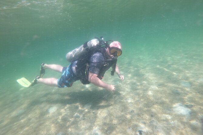 Panama City Scuba Diving Activity for Beginners - Who should book this experience?
