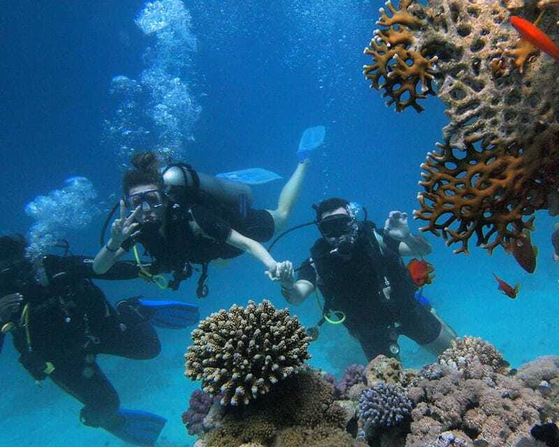 Panglao Bohol: Try Scuba Diving at Napaling and Sardines - Timing, cancellation, and basic planning