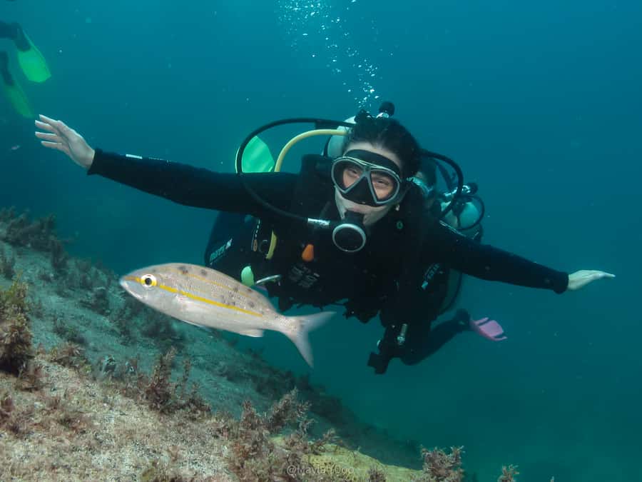 Paraty: Discovery Scuba Diving Experience for Beginners - Key points to know before booking
