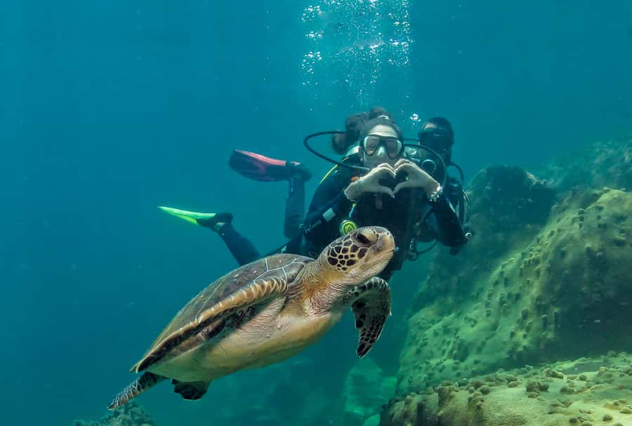 Paraty: Discovery Scuba Diving Experience for Beginners - The boat ride is where the lesson begins
