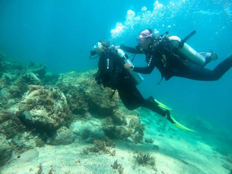 Paraty: Discovery Scuba Diving Experience for Beginners - Learning the equipment before going below