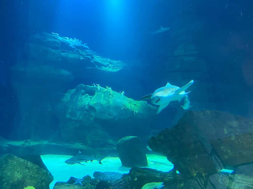 Paris: Aquarium de Paris, A Dive into the Deep Blue Wonder - Is $69 a Fair Price?