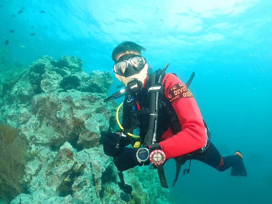 Phuket: 3 Dive Koh Phi Phi/Shark Point Scuba Diving Day Trip - Key points to know before booking