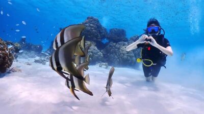 Phuket: Discover Scuba Diving to Racha Yai Island
