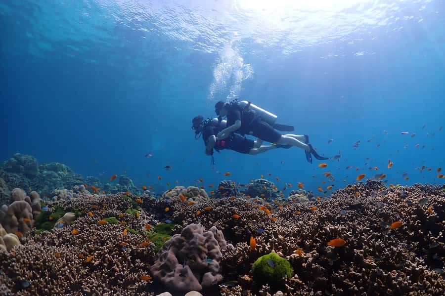 Phuket: Discover Scuba Diving to Racha Yai Island - Photos, cameras, and a practical catch