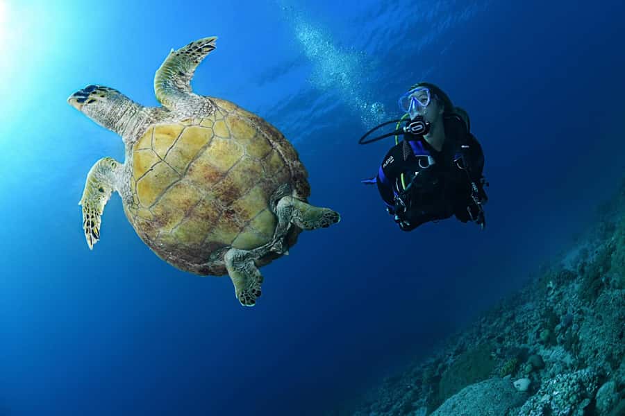 Phuket: Discover Scuba Diving to Racha Yai Island - Who will get the most from this trip