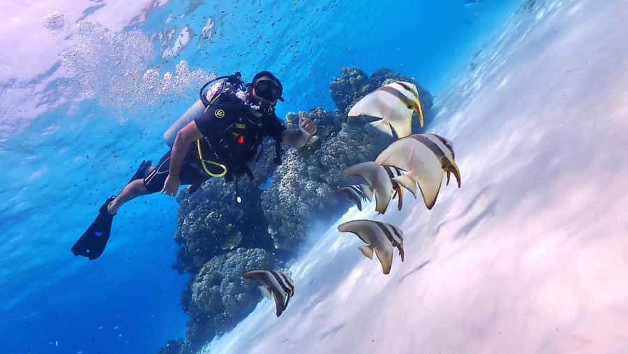 Phuket: Discover Scuba Diving to Racha Yai Island - Is $153 a fair price?