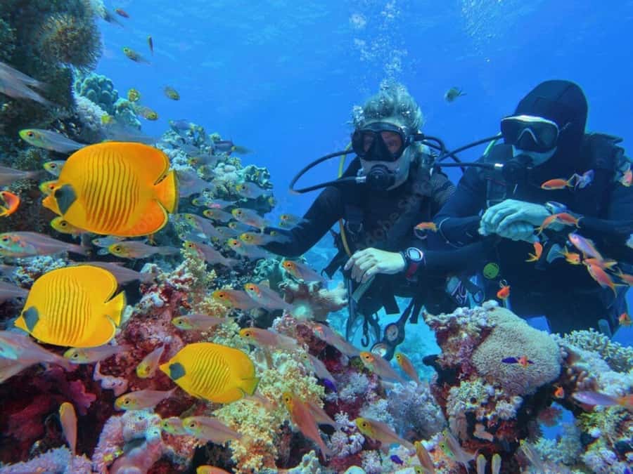 Phuket: Racha Island and Coral Islands + Scuba Beach Dive - The return to Phuket