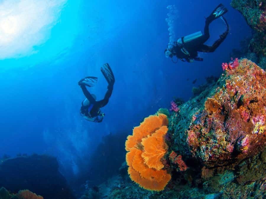 Phuket: Racha Island and Coral Islands + Scuba Beach Dive - Is $108 a fair price?