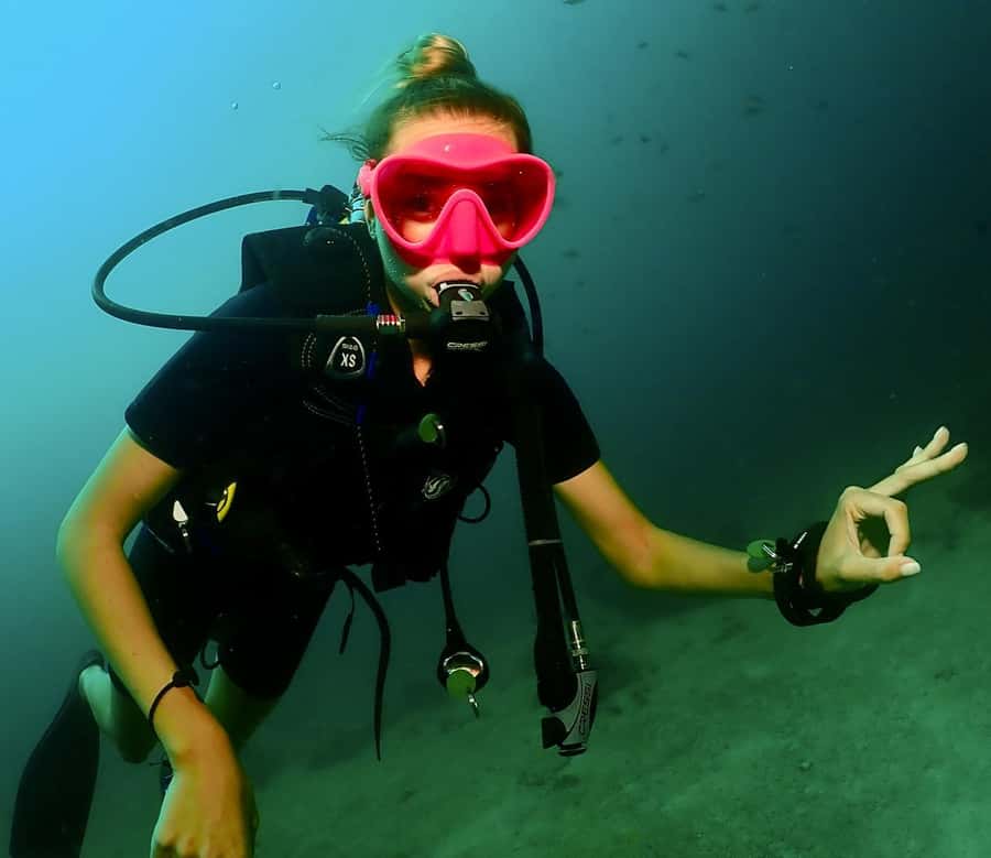 Phuket: SCUBA Diving Day Trip King Cruiser, Shark Point, KDM - Shark Point brings reef life into the plan