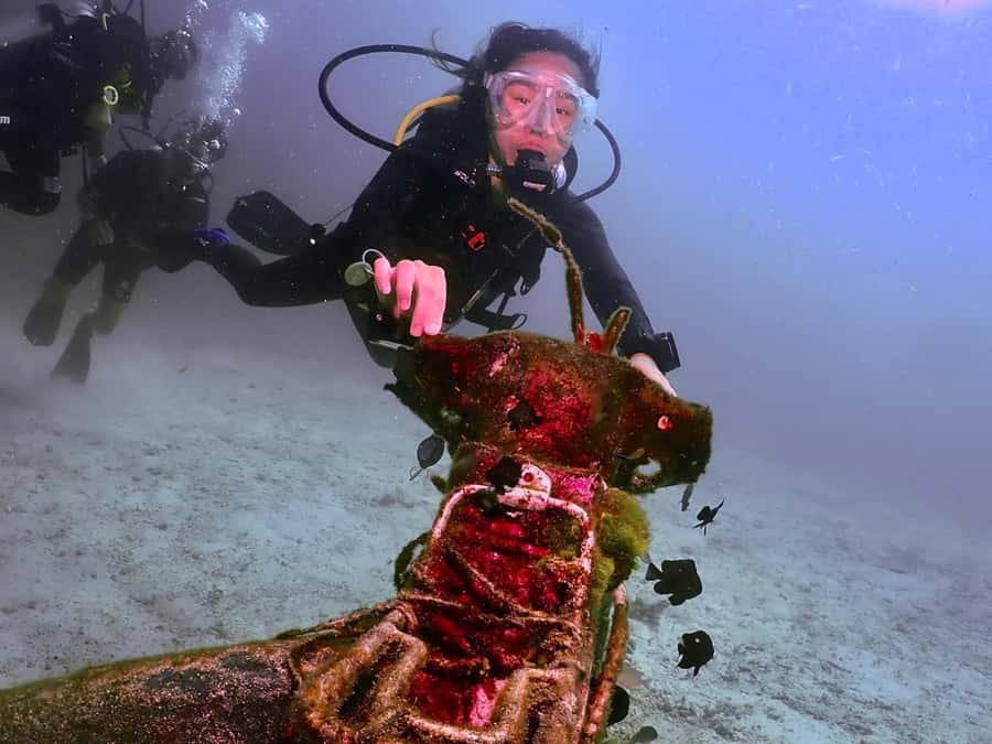 Phuket: SCUBA Diving Day Trip King Cruiser, Shark Point, KDM - Is $176 good value?