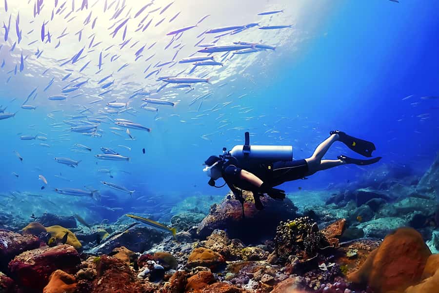 Phuket: Scuba Diving Maithon Or Racha Islands For All Levels - Key points to know before booking