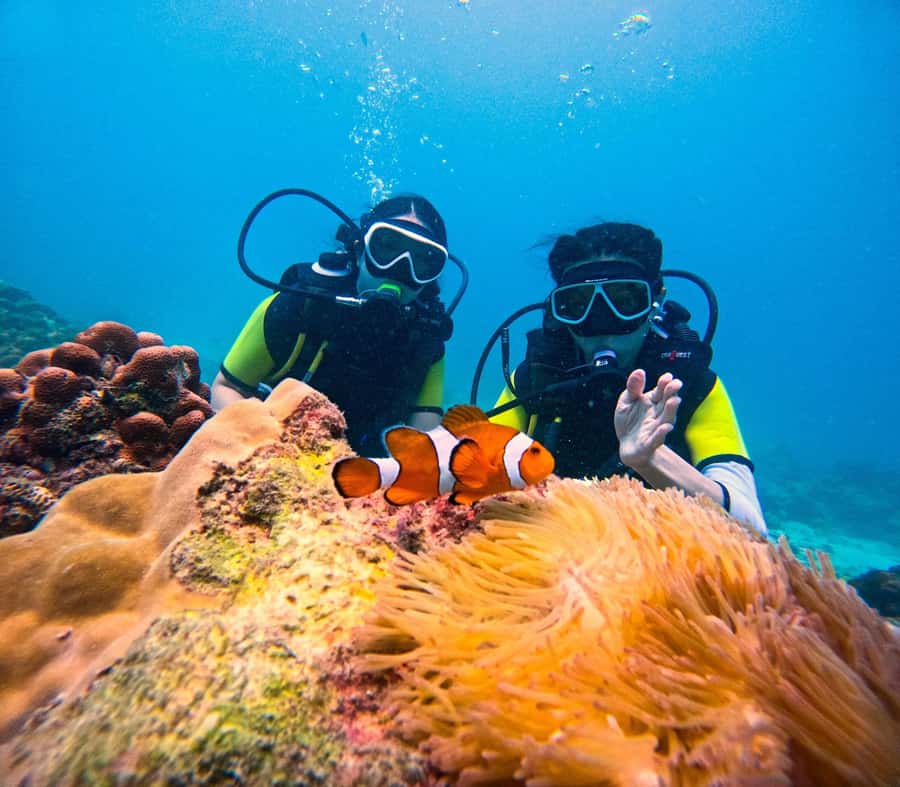 Phuket: Scuba Diving Maithon Or Racha Islands For All Levels - Who should book, and who should skip it