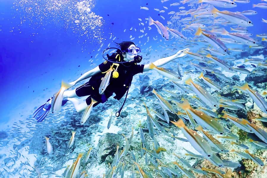 Phuket: Scuba Diving Maithon Or Racha Islands For All Levels - Choosing between Racha Yai, Racha Noi, and Maiton Island