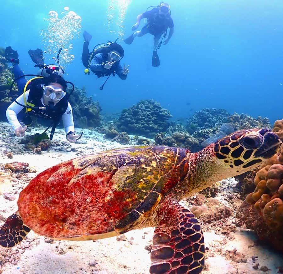 Phuket: Scuba Diving Maithon Or Racha Islands For All Levels - The boat ride and what to expect onboard