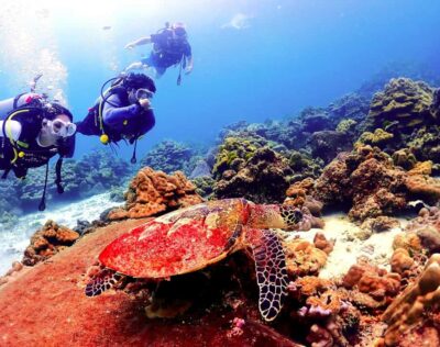 Phuket: Scuba Diving Maithon Or Racha Islands For All Levels