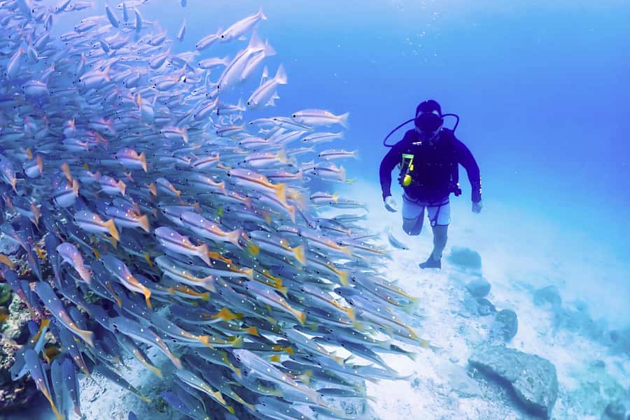 Phuket: Scuba Diving Maithon Or Racha Islands For All Levels - What the first underwater session feels like