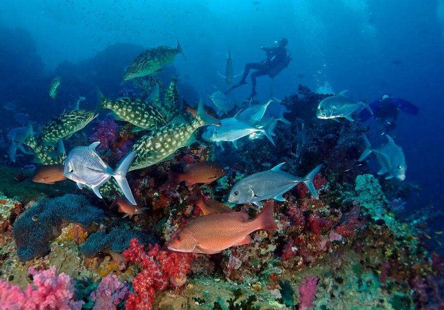Phuket: Scuba Diving Maithon Or Racha Islands For All Levels - Racha Yai and Racha Noi: the full-day route