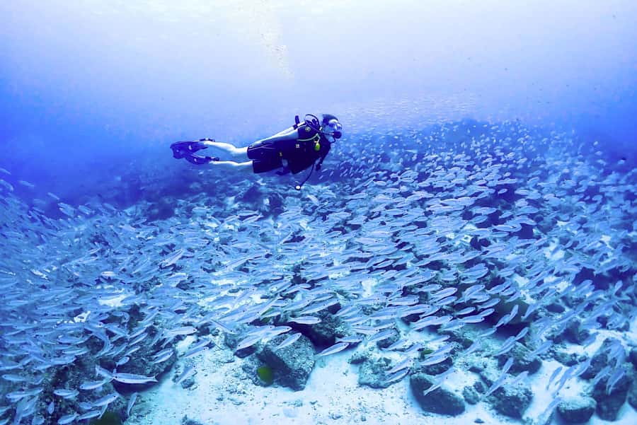 Phuket: Scuba Diving Maithon Or Racha Islands For All Levels - Maiton Island for a shorter, quieter outing