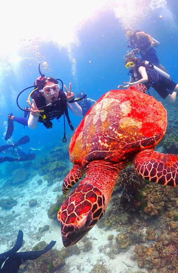 Phuket: Scuba Diving Maithon Or Racha Islands For All Levels - Price, group size, and overall value