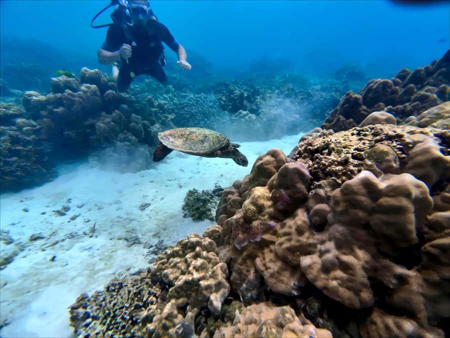 Phuket Scuba Diving Racha Islands 1-3 Dives For All Levels - Key points to know before booking