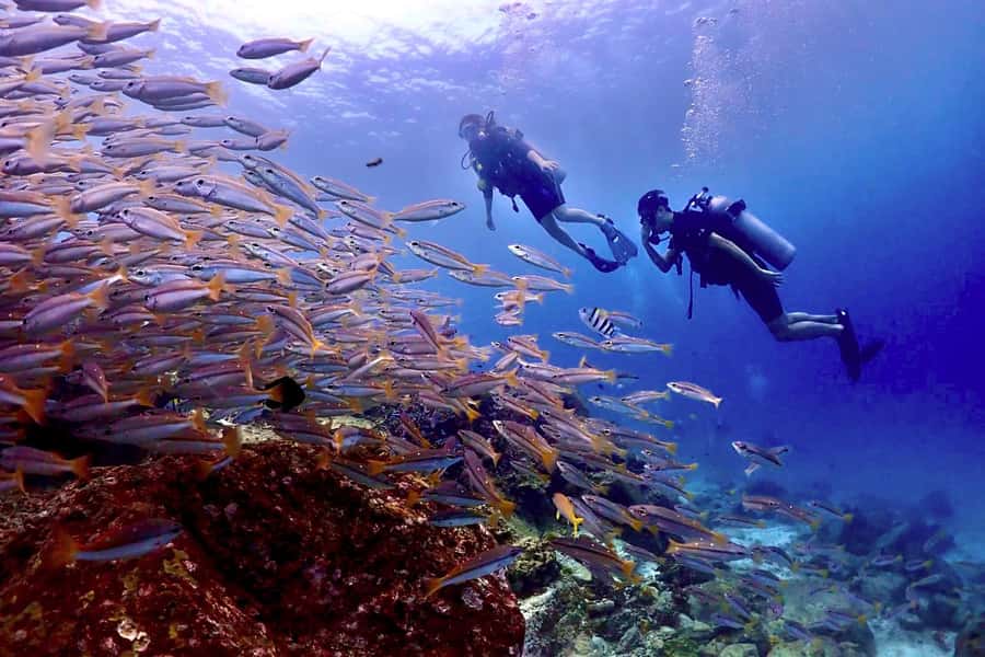 Phuket Scuba Diving Racha Islands 1-3 Dives For All Levels - What the Racha Islands day is really like