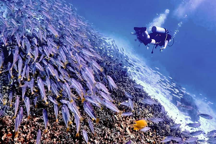 Phuket Scuba Diving Racha Islands 1-3 Dives For All Levels - The first briefing and your first underwater session