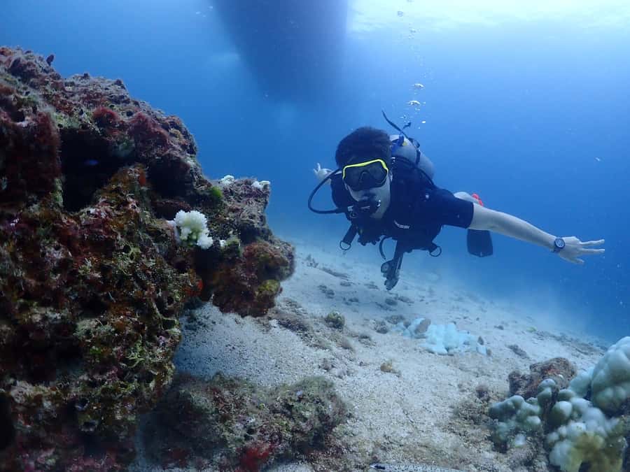 Phuket: Try SCUBA DIVING Full Day Experience 2 Dives - Key points to know before booking