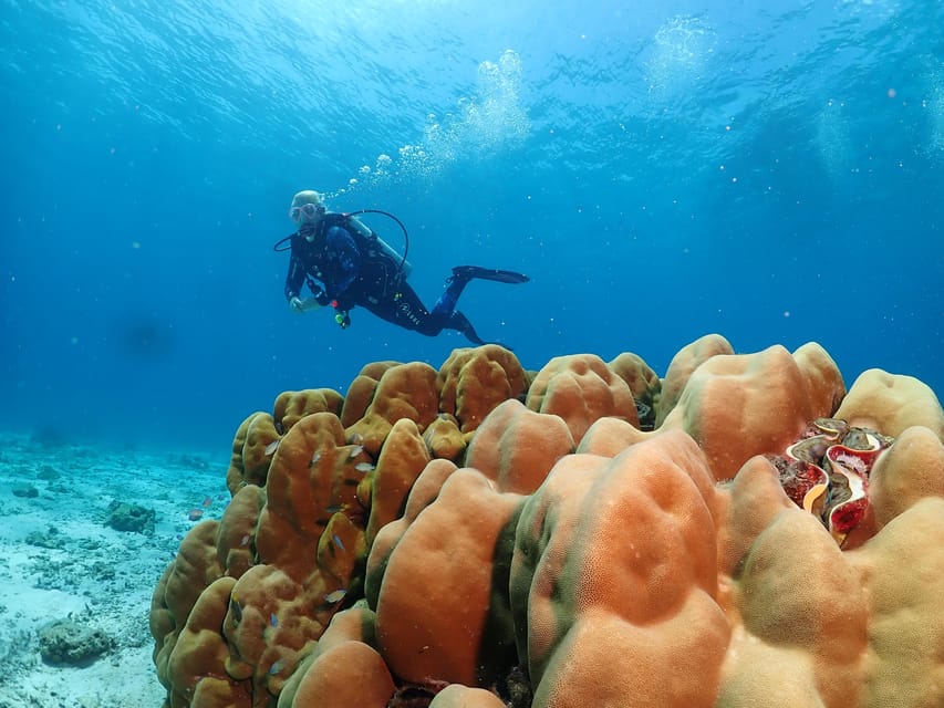 Phuket: Try SCUBA DIVING Full Day Experience 3 Dives - How the $193 price works out