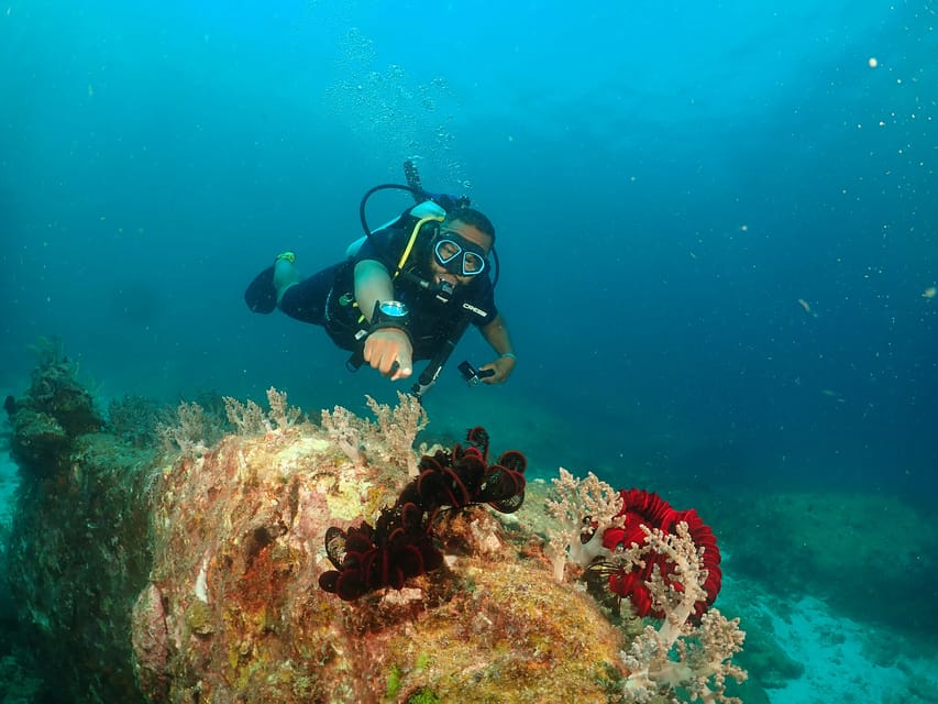 Phuket: Try SCUBA DIVING Full Day Experience 3 Dives - The instructor relationship matters for first-timers