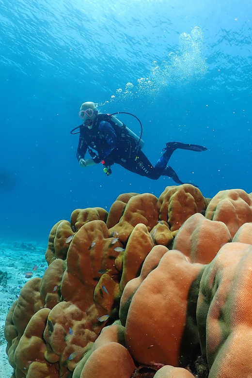 Phuket: Try SCUBA DIVING Full Day Experience 3 Dives - Practical rules for the day and your next flight